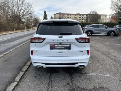 Ford Kuga Vorführwagen