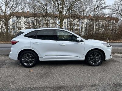 Ford Kuga Vorführwagen