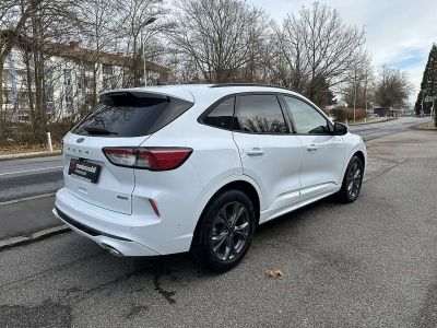 Ford Kuga Vorführwagen