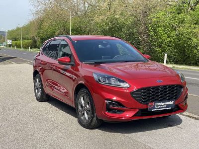 Ford Kuga Neuwagen