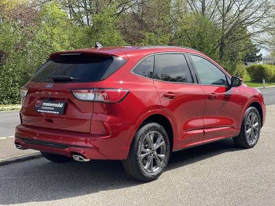 Ford Kuga Neuwagen