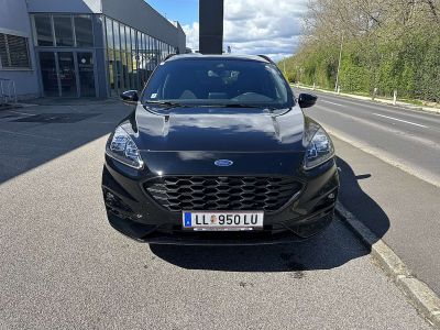 Ford Kuga Vorführwagen