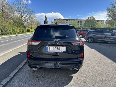 Ford Kuga Vorführwagen