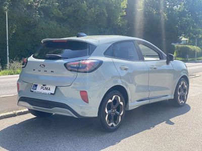 Ford Puma Neuwagen