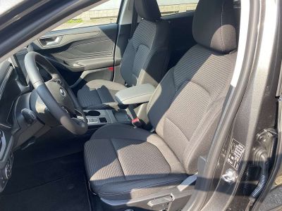 Ford Focus Tageszulassung