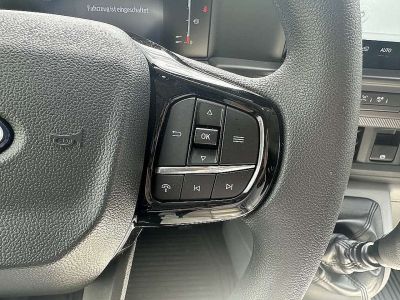 Ford Transit Custom Vorführwagen