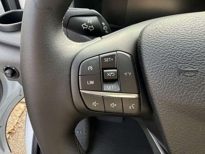 Ford Transit Neuwagen