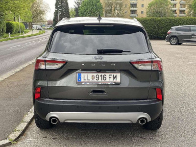Ford Kuga Vorführwagen