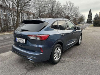 Ford Kuga Gebrauchtwagen