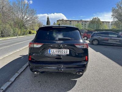 Ford Kuga Vorführwagen