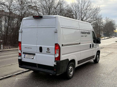 Fiat Ducato Vorführwagen
