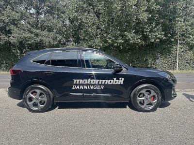 Ford Kuga Vorführwagen