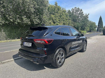 Ford Kuga Vorführwagen