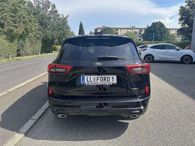 Ford Kuga Vorführwagen