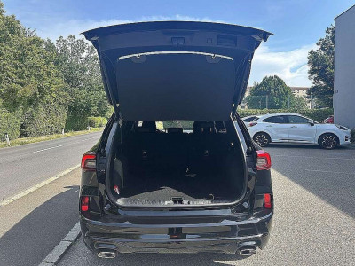 Ford Kuga Vorführwagen