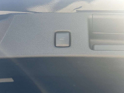 Ford Kuga Vorführwagen