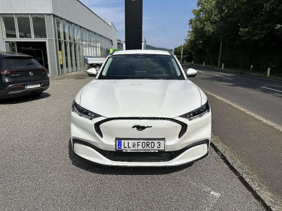 Ford Mustang Mach-E Vorführwagen