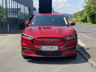 Ford Mustang Mach-E Vorführwagen