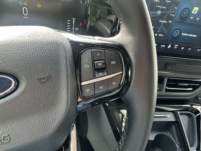 Ford Tourneo Custom Gebrauchtwagen