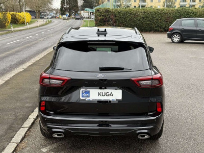 Ford Kuga Neuwagen