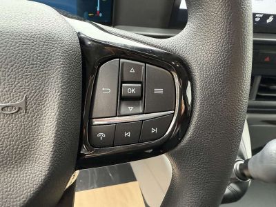 Ford Transit Custom Vorführwagen