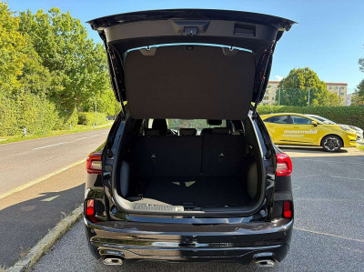 Ford Kuga Vorführwagen Ford Kuga Vorführwagen