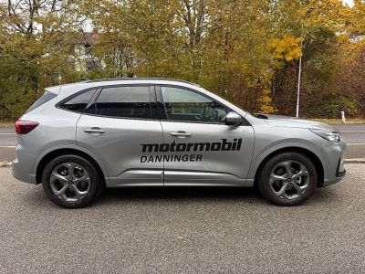 Ford Kuga Vorführwagen Ford Kuga Vorführwagen