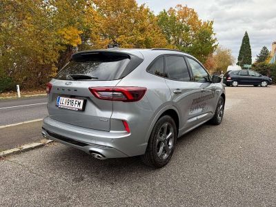 Ford Kuga Vorführwagen Ford Kuga Vorführwagen