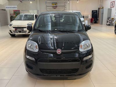 Fiat Pandina Neuwagen