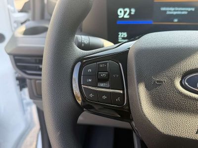 Ford Transit Custom Tageszulassung