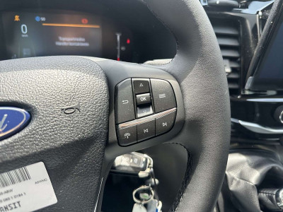 Ford Transit Neuwagen