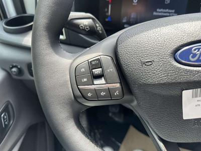 Ford Transit Neuwagen