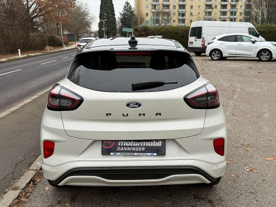 Ford Puma Neuwagen