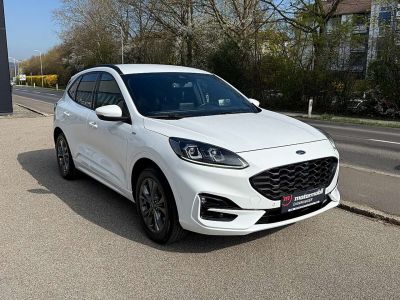 Ford Kuga Gebrauchtwagen