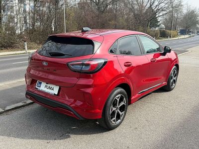 Ford Puma Neuwagen Ford Puma Neuwagen