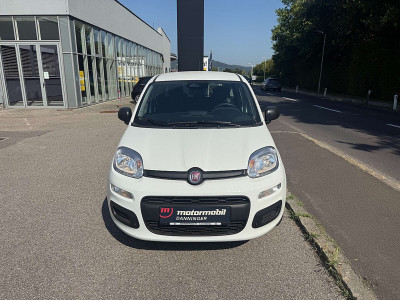 Fiat Pandina Tageszulassung Fiat Pandina Tageszulassung