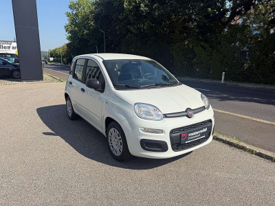 Fiat Pandina Tageszulassung Fiat Pandina Tageszulassung