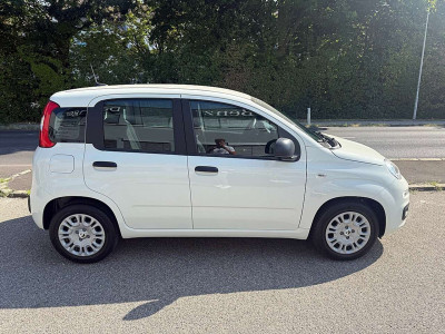 Fiat Pandina Tageszulassung Fiat Pandina Tageszulassung