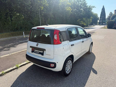 Fiat Pandina Tageszulassung Fiat Pandina Tageszulassung