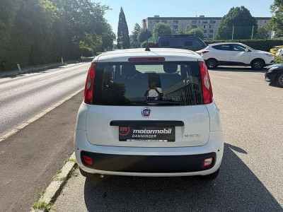 Fiat Pandina Tageszulassung Fiat Pandina Tageszulassung