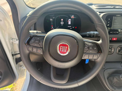 Fiat Pandina Tageszulassung Fiat Pandina Tageszulassung