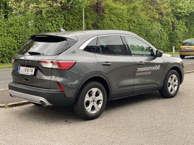 Ford Kuga Vorführwagen