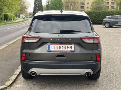 Ford Kuga Vorführwagen