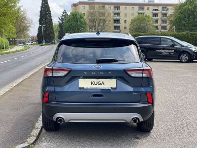 Ford Kuga Vorführwagen