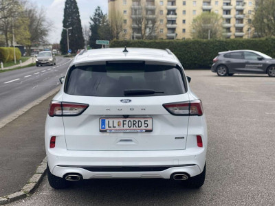 Ford Kuga Gebrauchtwagen