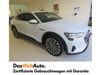 Audi Q8 e-tron Gebrauchtwagen