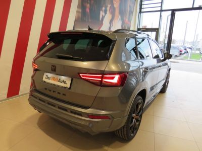 Cupra Ateca Gebrauchtwagen