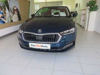 Skoda Octavia Gebrauchtwagen