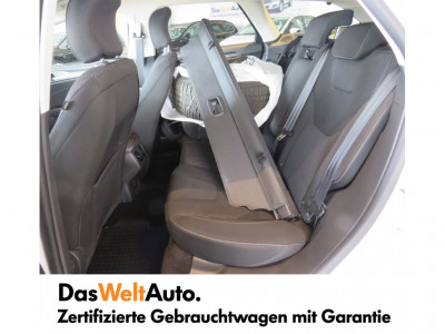 Ford Mondeo Gebrauchtwagen