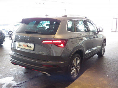 Skoda Karoq Gebrauchtwagen